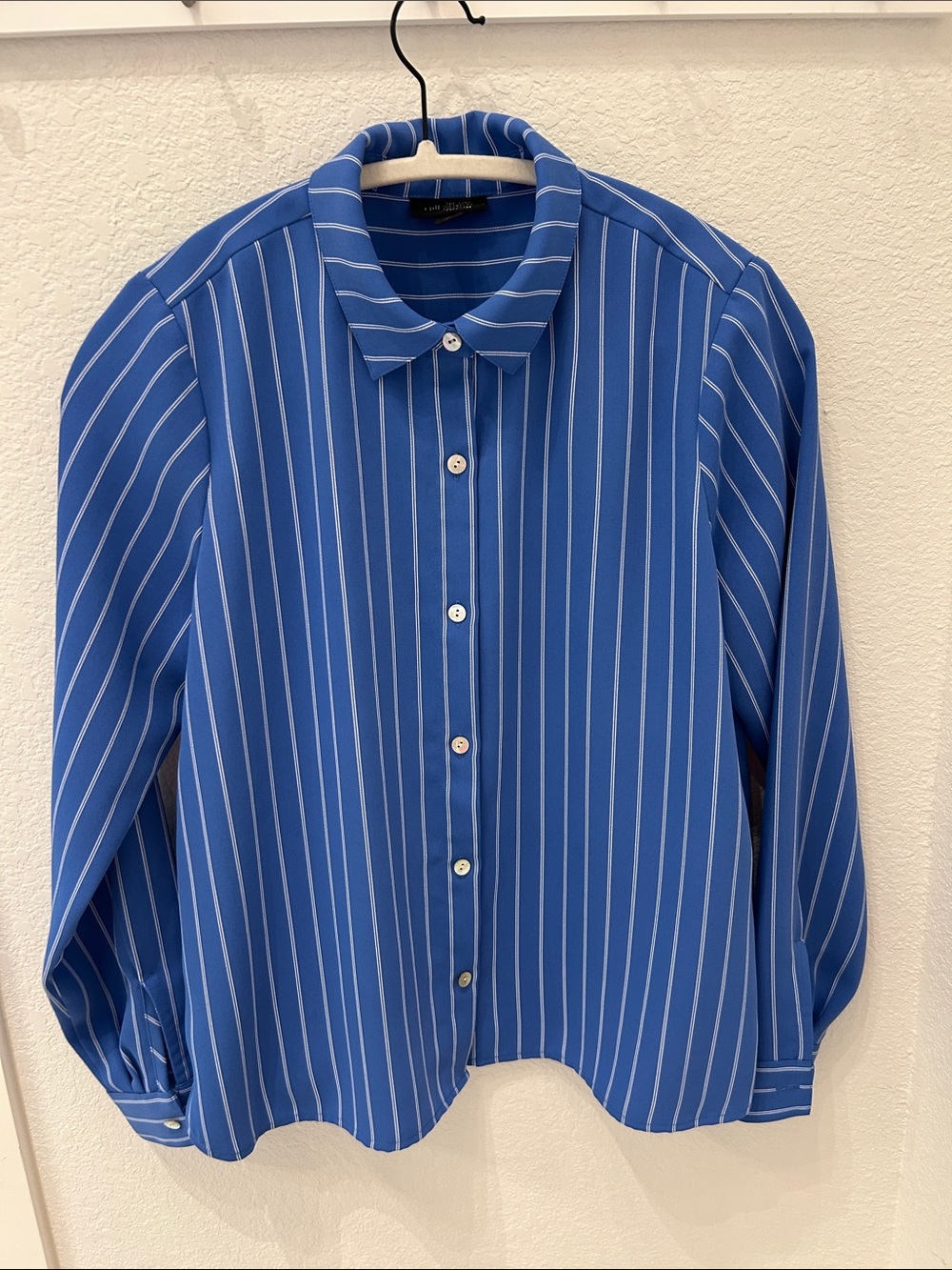 J. Jill Blue and White Vertical Stripe Button-Front Blouse
